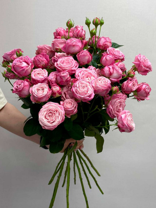 Цветы поштучно: Роза «Lady bombastic»